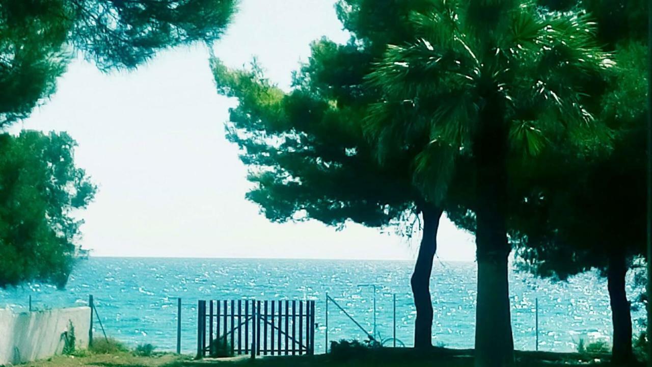 Seafront Villa Joan Nea Skioni Zewnętrze zdjęcie