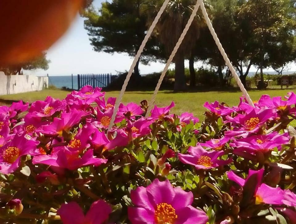 Seafront Villa Joan Nea Skioni Zewnętrze zdjęcie
